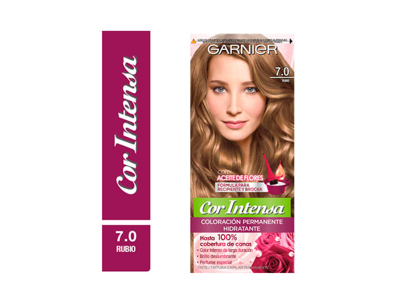 GARNIER COR INTENSA CASTAÑO 4.00